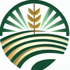 Delincuentes queman 18 héctareas de Caña de azúcar en Yaracuy