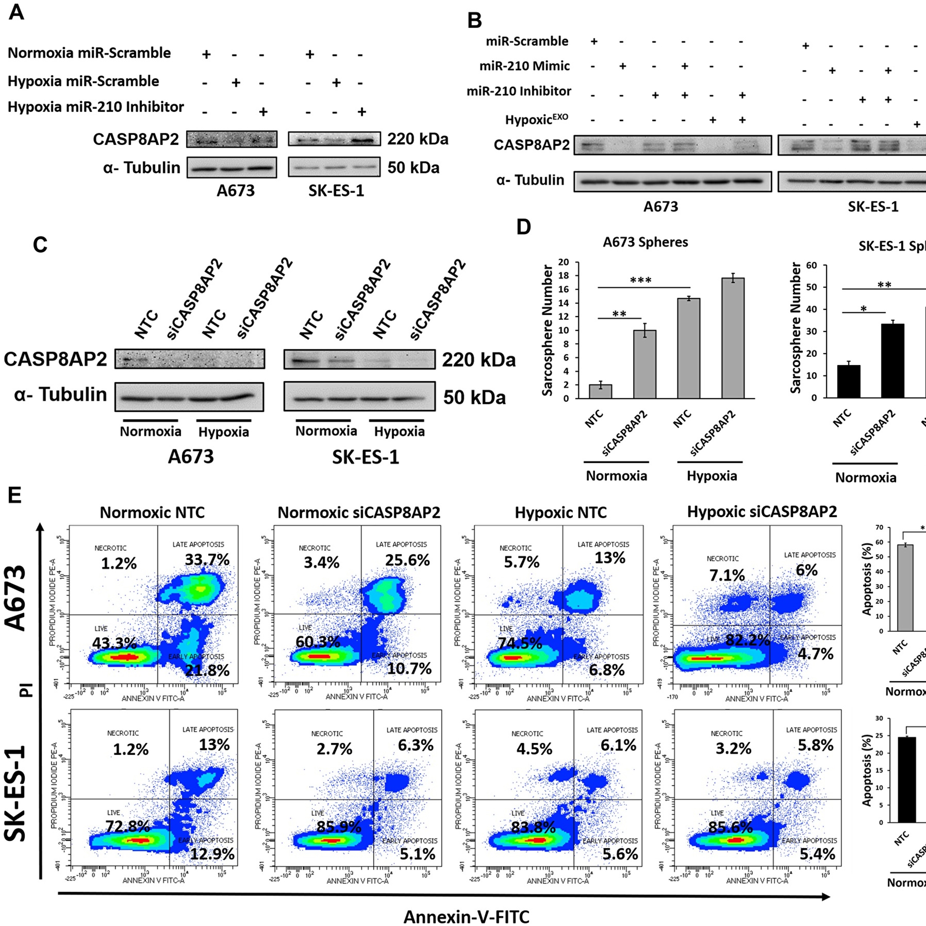 Oncotarget