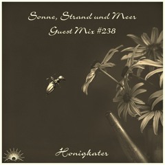 Sonne, Strand und Meer Guest Mix #238 by Honigkater