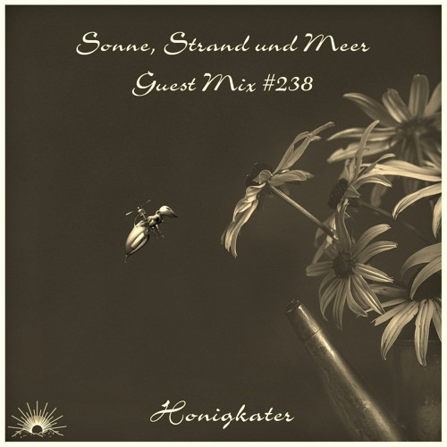 Sonne, Strand und Meer Guest Mix #238 by Honigkater