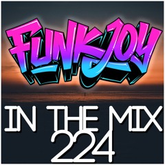 funkjoy - In The Mix 224