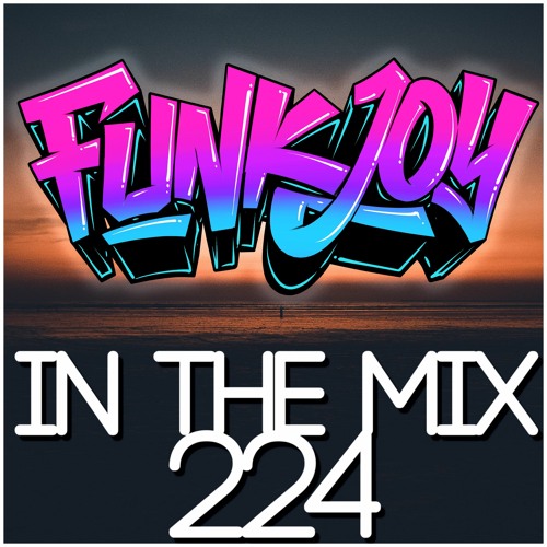 funkjoy - In The Mix 224