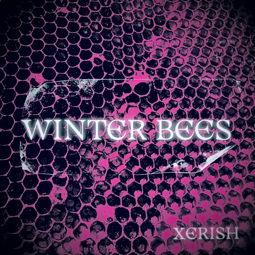 Winter Bees