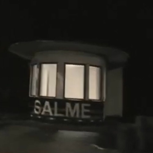 PS - salme (pilliroostseinad)