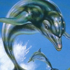✵ Delfines ✵ Juansolo6k x 808GOD