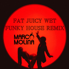 Fat Juicy & Wet (Marco Molina Funky House Remix/ Edit)