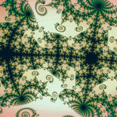 Schroedinger's Pony Rmx