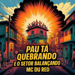 MC DU RED - PAU TA QUEBRANDO E O SETOR  BALANÇANDO ( DJ VITINHO VIBE )