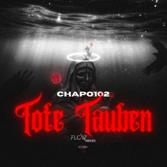 Chapo102 - Tote Tauben [Flow Remix]