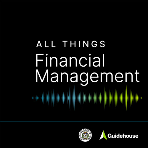 DoD Financial Management Strategy and Audit Efforts with Mr. Tom Steffens
