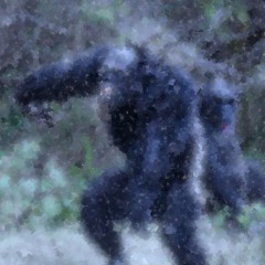 Forest Dweller 20240518