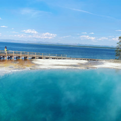 Paradise prod:SPYDERTURNMEUP