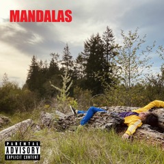 Nights Like No Others