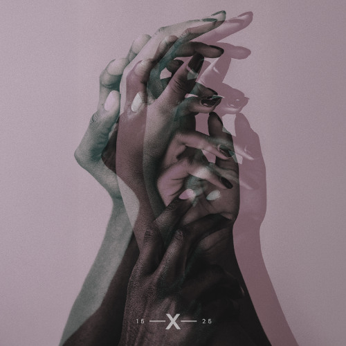 Amsel (Gonçalo Remix)