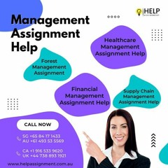 Management Assignment Help - Writing Experts