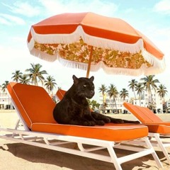 Organic & Deep House & Afro - Mixes
