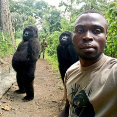 monkey suit (Prod by SupahSaiyanCj x Zombie)