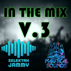 In The Mix V.3