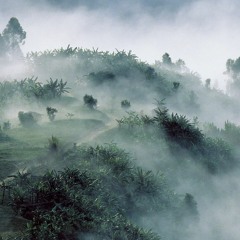 Uganda Traveling Soul Music