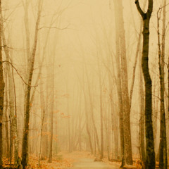 Sonic Heart - Come Now The Dawn