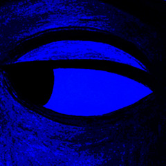 Like No One's Watching