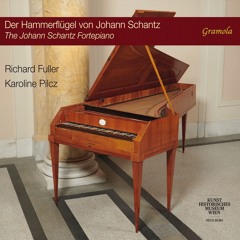 Karoline Pilcz & Richard Fuller - Cantate auf Marie Theresie Paradis (1784) | Recitativo. Maestoso