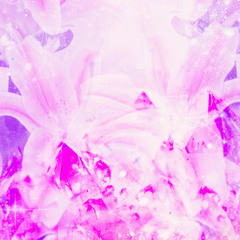 garden of lilies (demo)