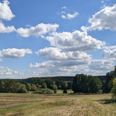 Ankommen - Musik Wohnzimmer Platenlaase