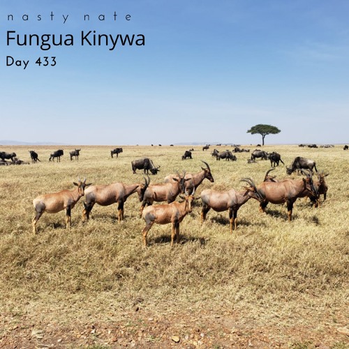 n a s t y  n a t e - Fungua Kinywa. Day 433