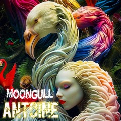 Antoine - MoonGull