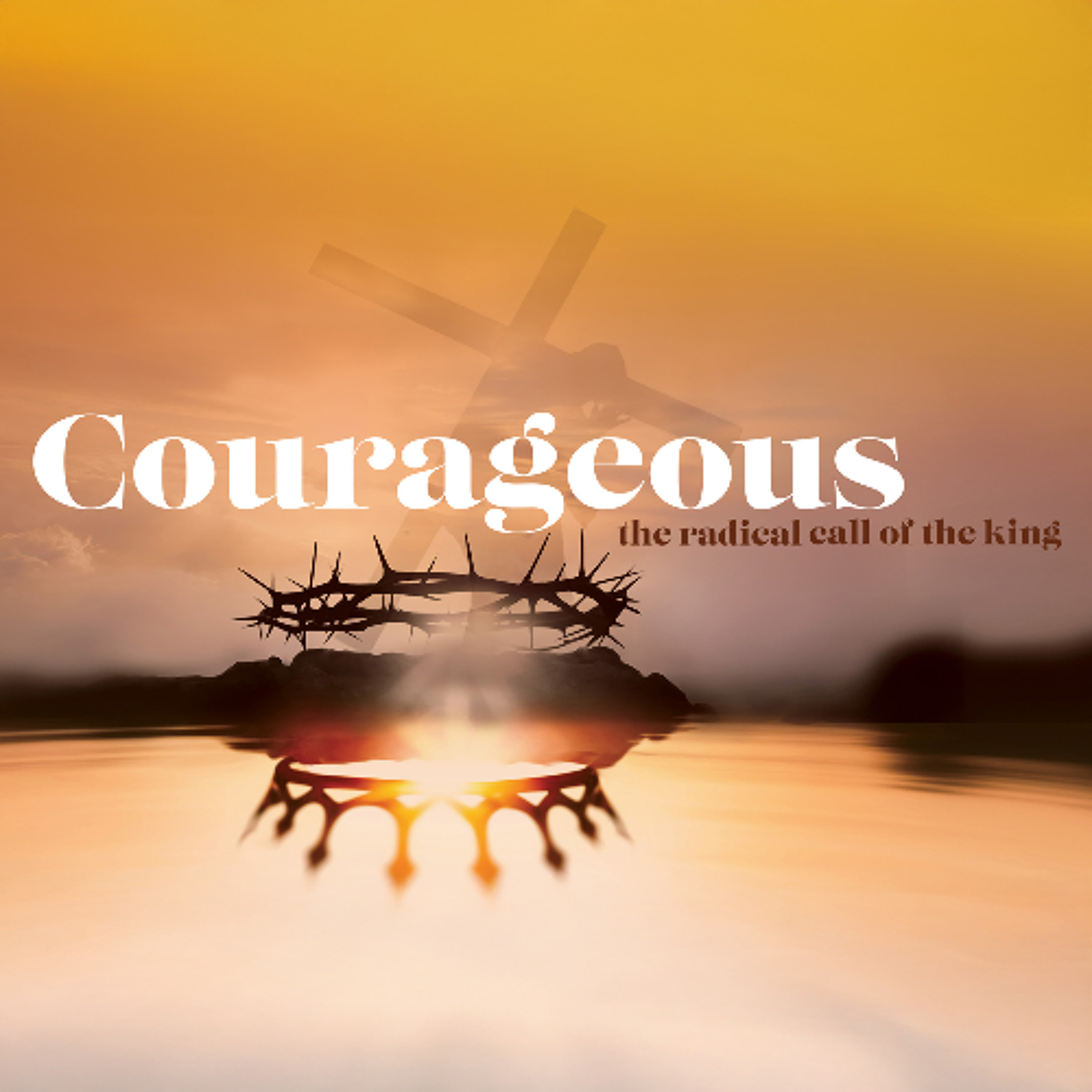 He is More Than a Man (Courageous – Part 12) Troy Arnott episode artwork