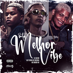 MTG - MELHOR VIBE ( VERSÃO BH ) - DJ GUIZIM (FELIPE RET, MC MENOR HR & PEDRIN DO ENGENHA)