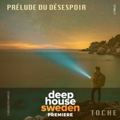 DHS Premiere: T O C H E - Prélude Du Désespoir (Original Mix) [Curiosity Music]
