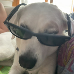 Playlist Punk part 2