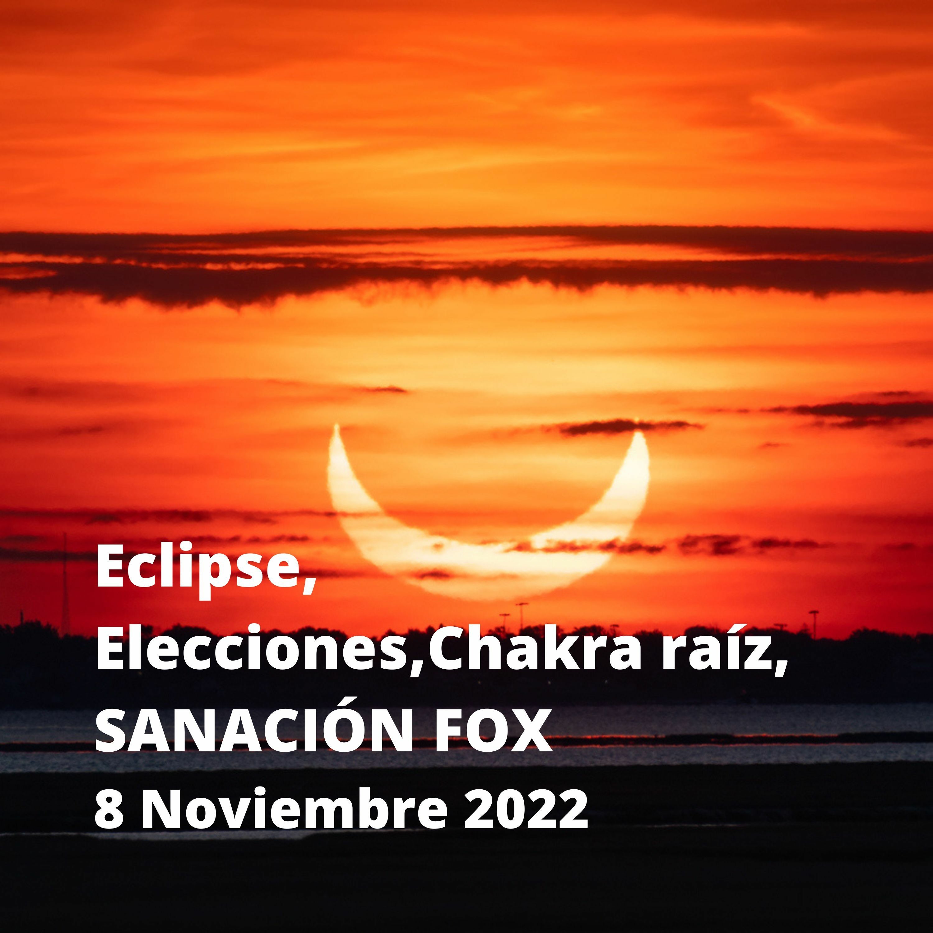 Atención! Tu chakra raíz está en crisis!