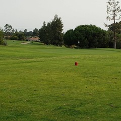 Jack Johnson - Flake (Awyeeah Remake)