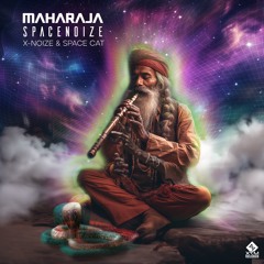 SpaceNoiZe - Maharaja