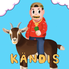 Elvis - Kändis