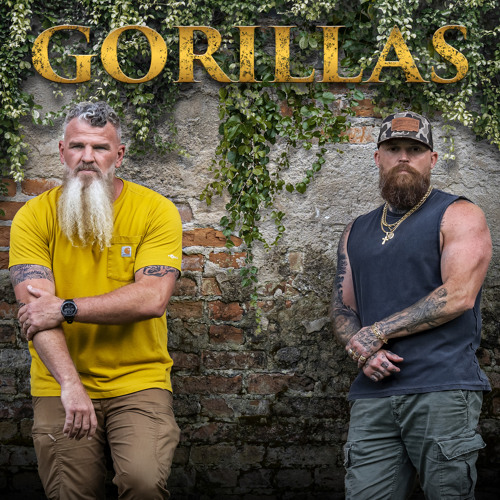 Gorillas
