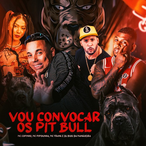 Vou Convocar Os Pit Bull  (( DJBUIU & MC COPINHO FEAT PIPOQUINHA 2 )) 2023