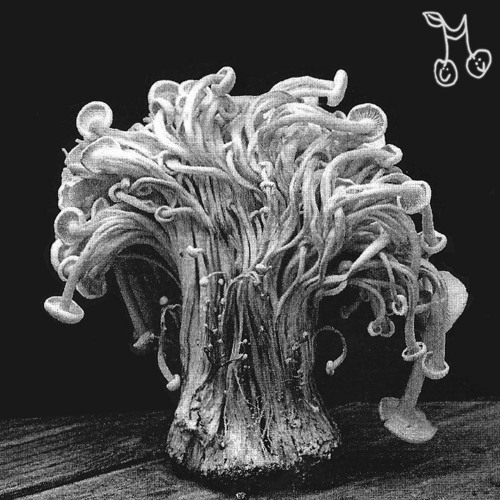 Totemjam - The End of the Mushroom Season