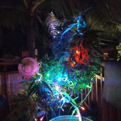 Ceska & Tino Priolo vs Rick Pier O'Neil - Ember Mix