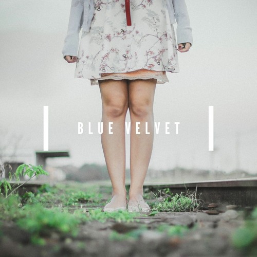 Blue Velvet - Velluto