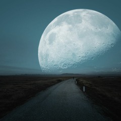 Into the journey