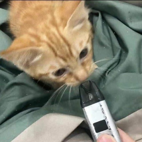 Wo de hao xiong di X Lúc anh em cần có tôi đây Remix | Trần Gia Khang