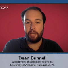 RNA Virus Changes on Oxygen Consumption in Young and Old Drosophila Males