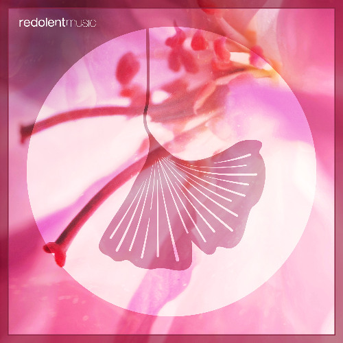 PAAX (Tulum) - Time On Feat. Zimsto eRoofini (Original Mix Snippet)