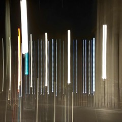 If We Being Real [net flip]