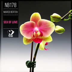 Marco Bertek - The Return of My Love (Original Mix)