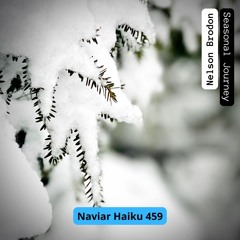 Nelson Brodon - Seasonal Journey (NaviarHaiku 459)
